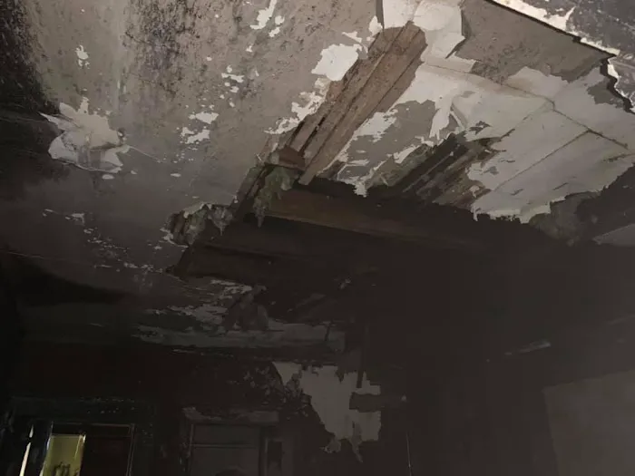 Absolute Restoration Picture 6