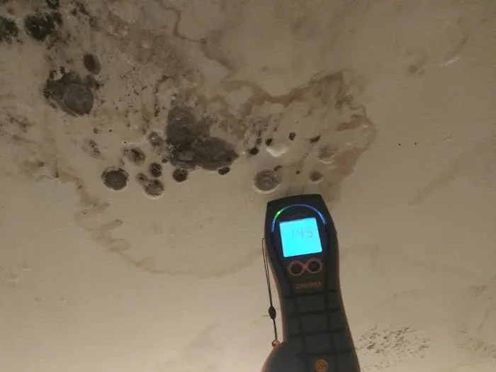 Absolute Restoration Picture 4