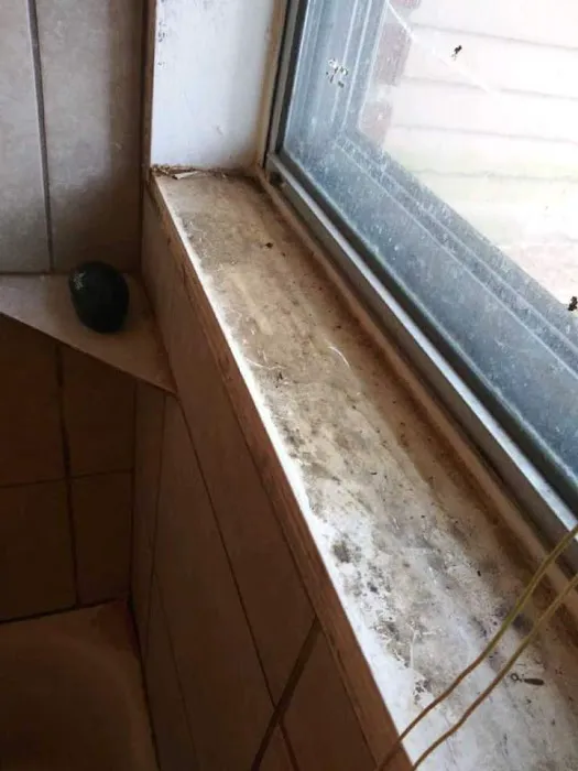 Absolute Restoration Picture 8