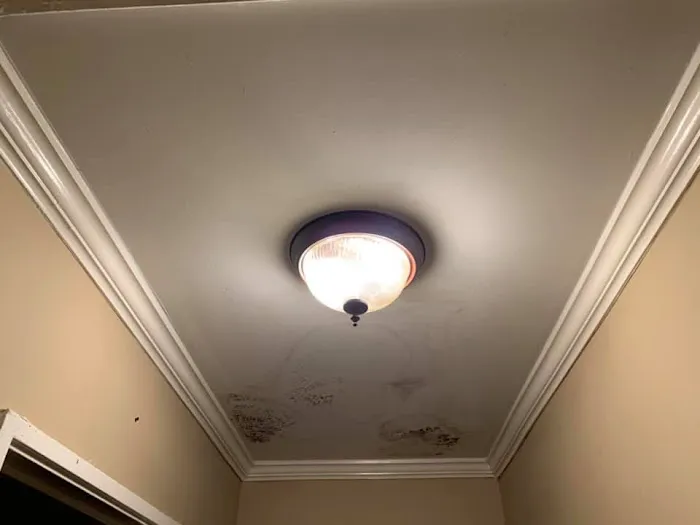 Absolute Restoration Picture 10