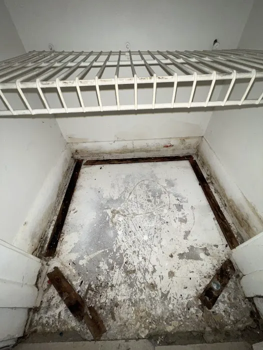 Royal Mold Specialist Picture 3