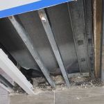 Royal Mold Specialist