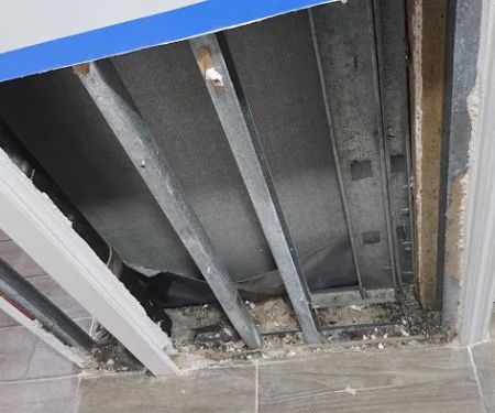 Royal Mold Specialist