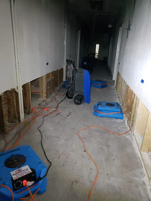 Disastpro Water Damage Picture 9