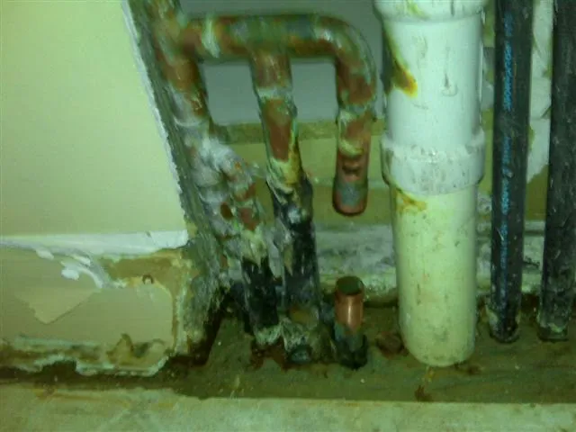 Water Damage Restoration Miami & South Florida Picture 1