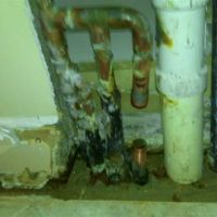 Water Damage Restoration Miami & South Florida ico