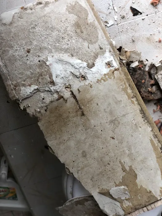 Mold Care Corp Picture 4