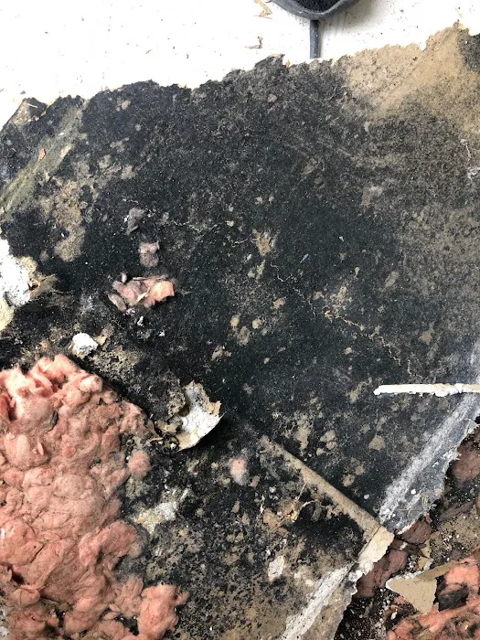 Mold Care Corp Picture 5