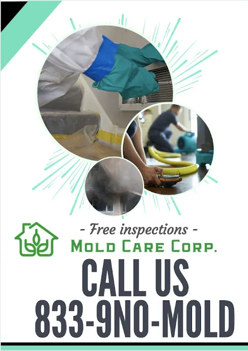 Mold Care Corp Picture 10
