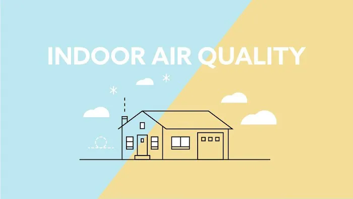 Miami Mold & Water Solutions LLC Picture 1