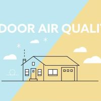 Miami Mold & Water Solutions LLC ico