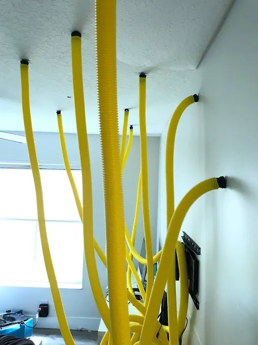 Drying Water Damage Restoration Picture 4