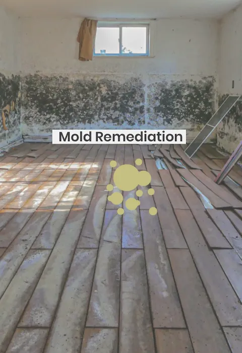 ack restorations Picture 2