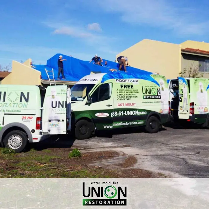 Union Restoration: Mold Removal & Remediation In Florida Picture 2