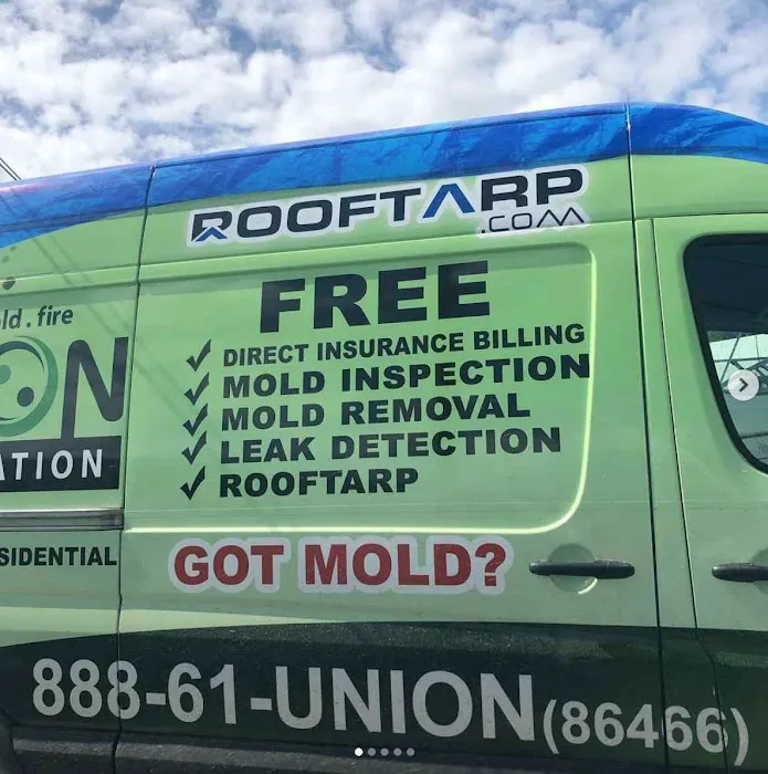 Union Restoration: Mold Removal & Remediation In Florida Picture 9