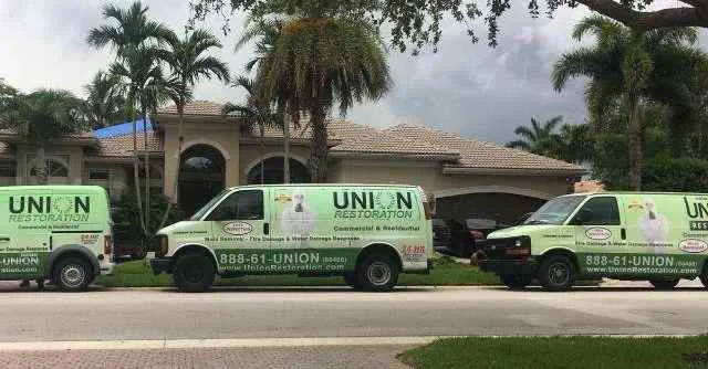 Union Restoration: Mold Removal & Remediation In Florida Picture 10