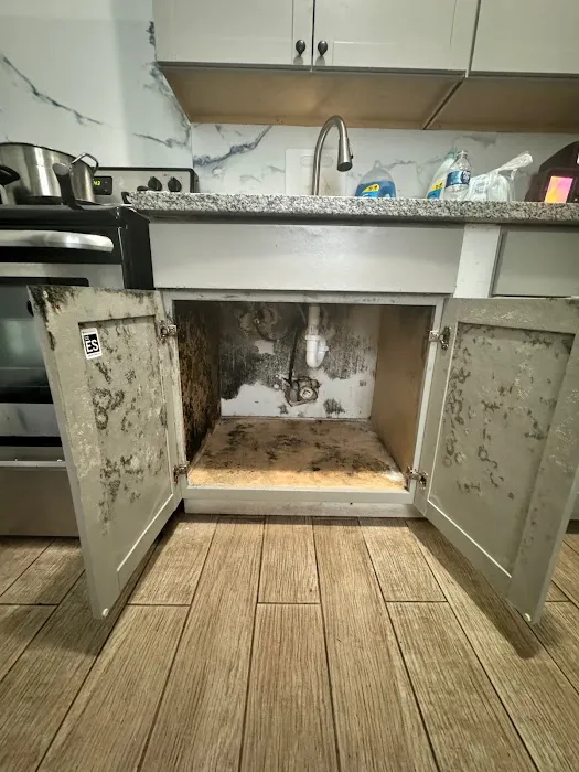 Restoration Near Me Picture 10