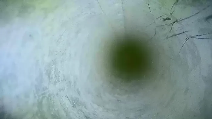 Certified Mold & Water Damage Restoration Of Hollywood Picture 6