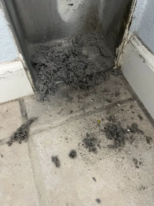 Certified Mold & Water Damage Restoration Of Hollywood Picture 10