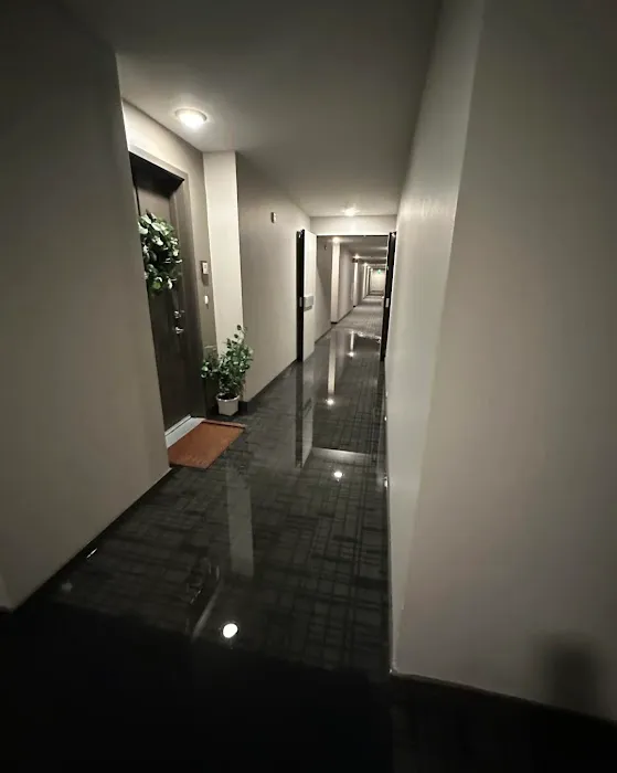 Pro Water Damage Restoration Hollywood Picture 5