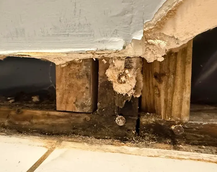 Pro Water Damage Restoration Hollywood Picture 6