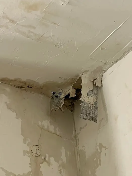 Pro Water Damage Restoration Hollywood Picture 4