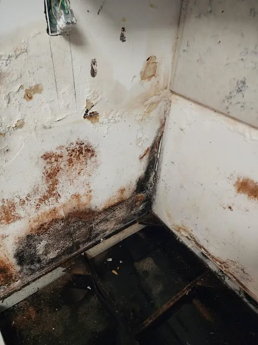 Florida Water & Mold Restoration Picture 2