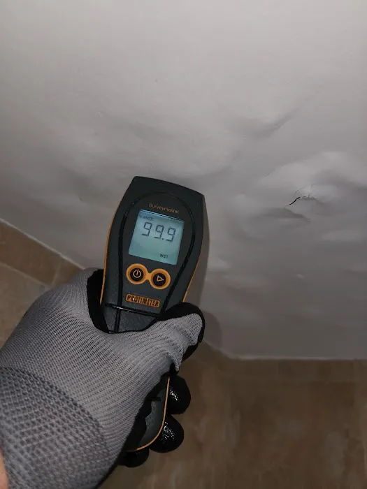 Florida Water & Mold Restoration Picture 5