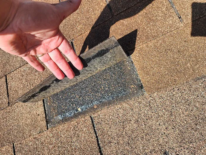 Florida Water & Mold Restoration Picture 8