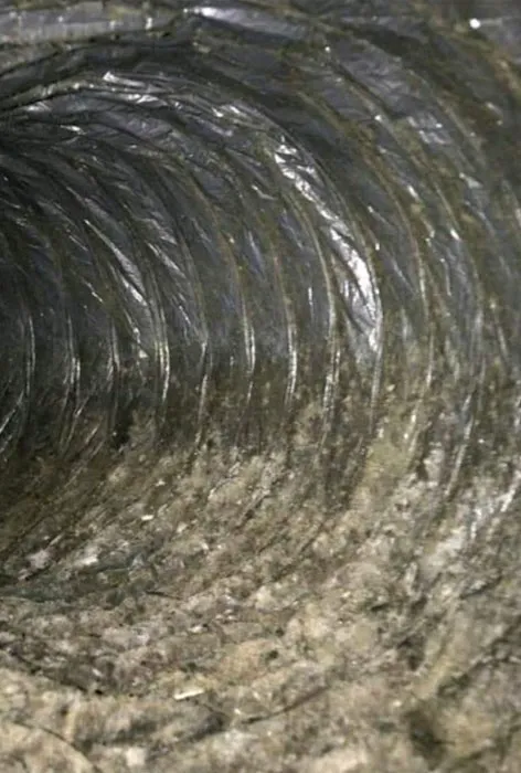 DryXpert Llc Picture 2