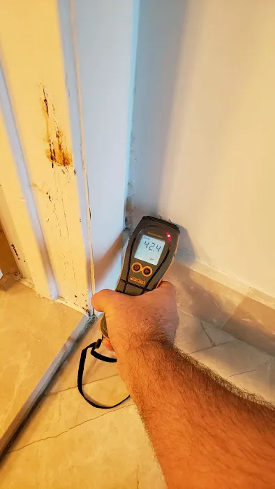 DryXpert Llc Picture 4