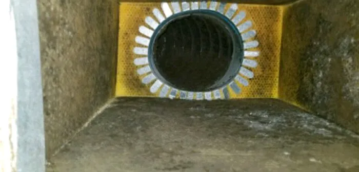 DryXpert Llc Picture 9