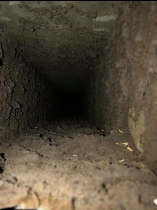 DryXpert Llc Picture 10