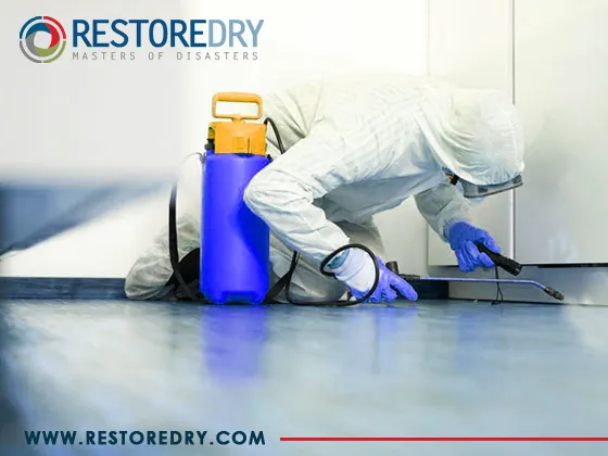 Restore Dry, LLC Picture 8