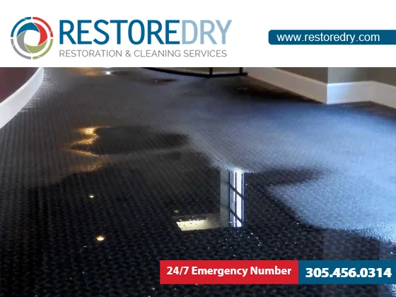 Restore Dry, LLC Picture 9