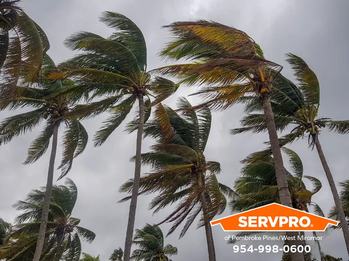SERVPRO of Pembroke Pines / West Miramar Picture 6