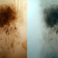 Pro Mold Removal Miami ico