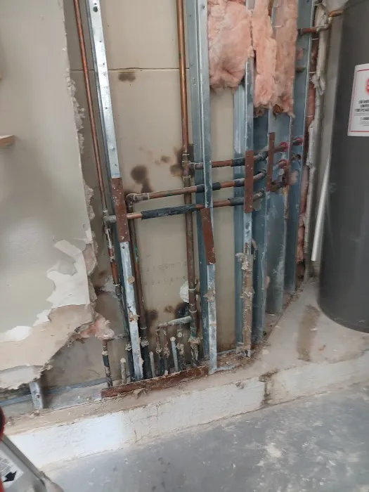 Ultra Hygiene Services (UHS Mold) Picture 1