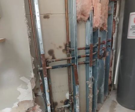 Ultra Hygiene Services (UHS Mold)