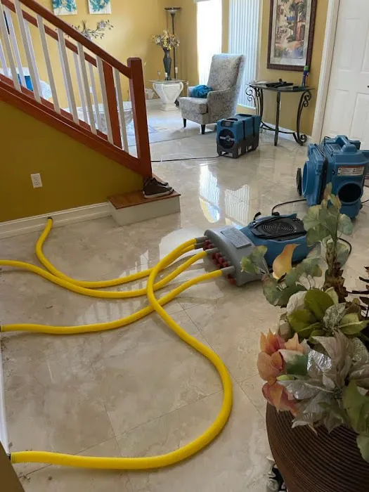 Ultra Hygiene Services (UHS Mold) Picture 3