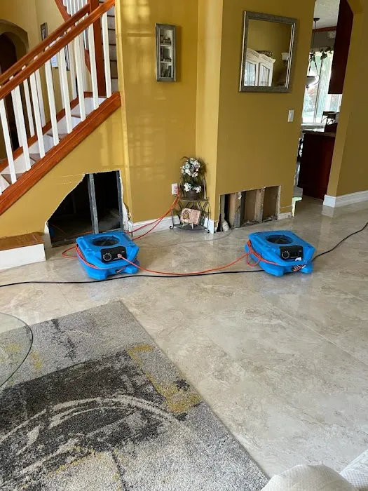 Ultra Hygiene Services (UHS Mold) Picture 2