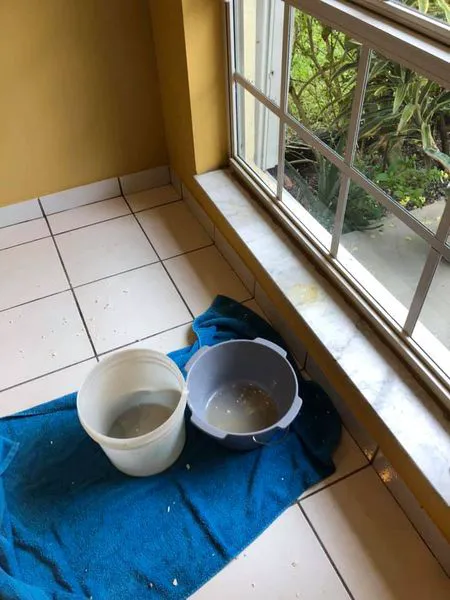 Ultra Hygiene Services (UHS Mold) Picture 5