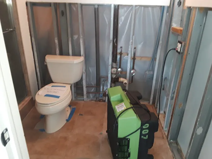 Ultra Hygiene Services (UHS Mold) Picture 6