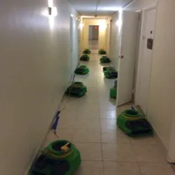 Ultra Hygiene Services (UHS Mold) Picture 8