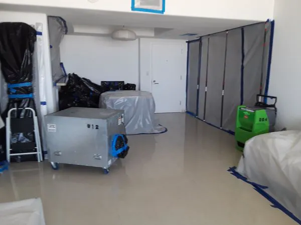 Ultra Hygiene Services (UHS Mold) Picture 7