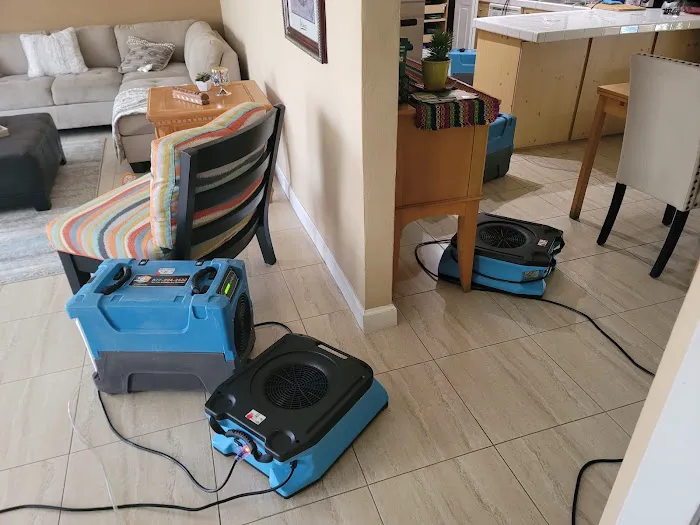 FL Cleanup Picture 1