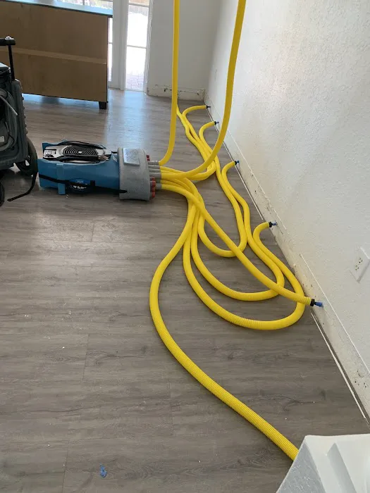 FL Cleanup Picture 4