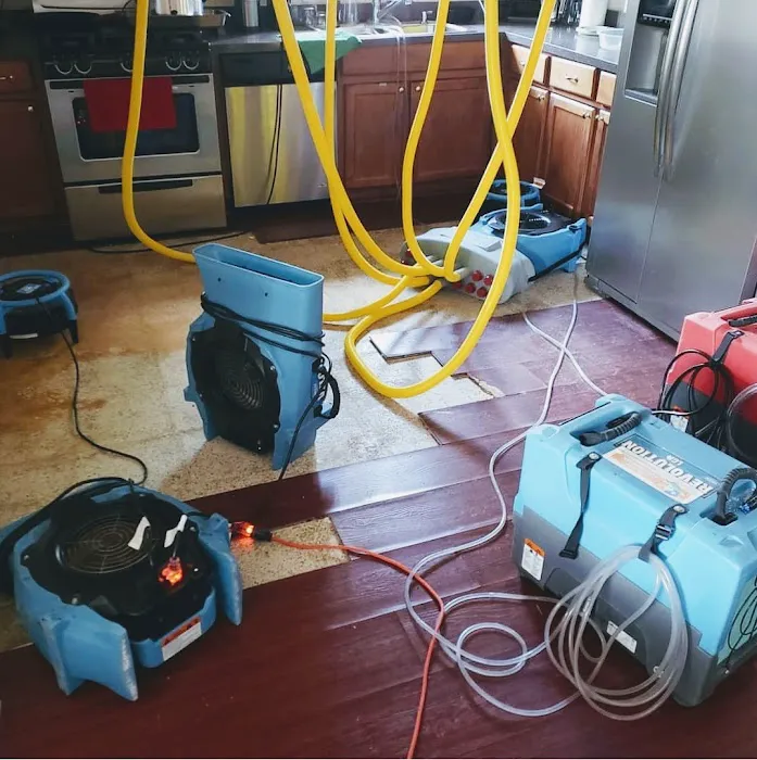 FL Cleanup Picture 8