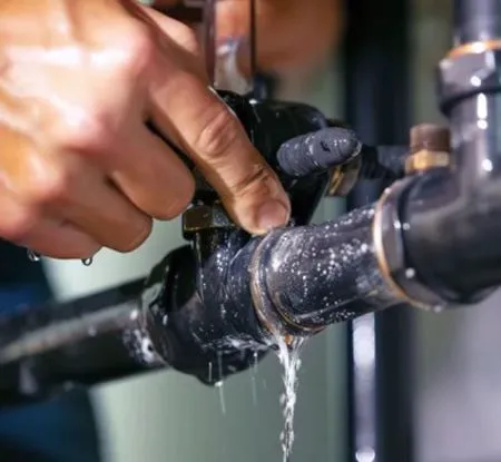 WATER DAMAGE THE BEST SERVICE INC. Picture 3