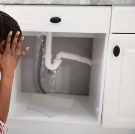 WATER DAMAGE THE BEST SERVICE INC. Picture 4